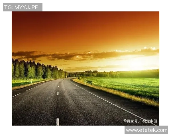 杨丽的足球人生深度对话：从球场到人生的精彩旅程与成长故事