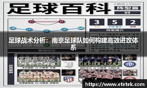 B体育bsports